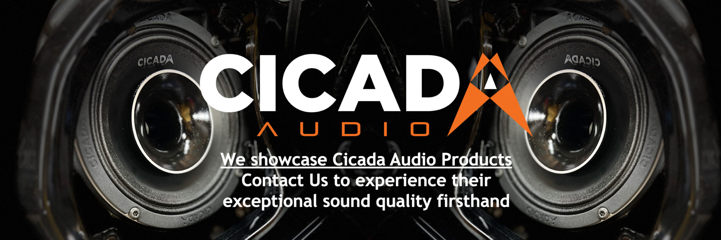 Cicada Homepage Banner-01